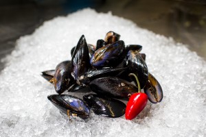 Mussels small